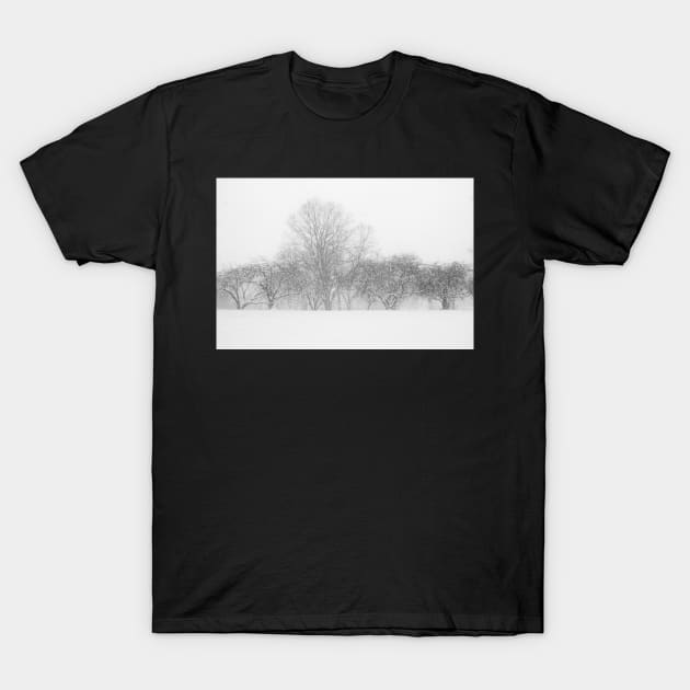 Snow in Silverlake T-Shirt by ShootFirstNYC